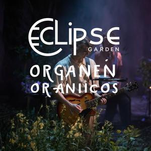 Eclipse Garden | Zen Chill Out Melodies | Ambient Meditation & Relaxation Soundscapes