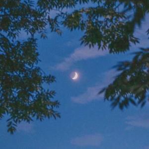 L'Amour Toujours (Tiesto Edit)