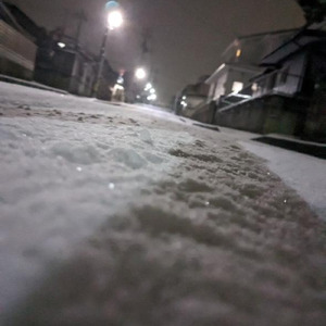 働きたくないです