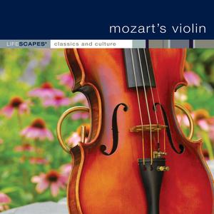 Quartet for Flute, Violin, Viola and Cello No. 1 in D Major, K. 285: II. Adagio