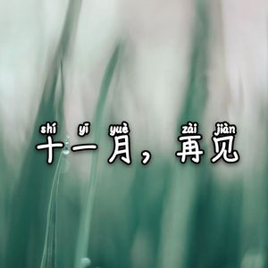 十一月再见