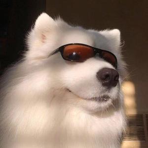 16(prod by Jiano.杨子昂）