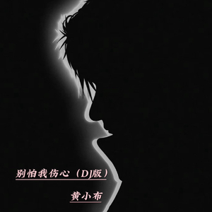 张信哲-别怕我伤心（黄小布 remix）