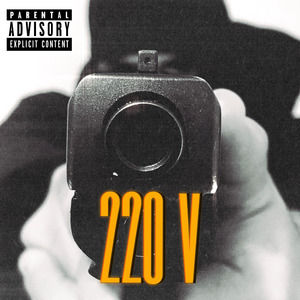 220V