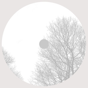 Amuse Gueule (Chapitre V)