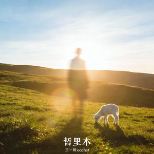 冷，不冷（prod by：MORROW）