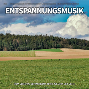 Klangvolle Musik für Reiki