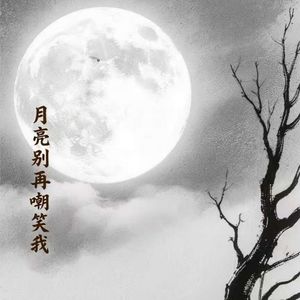 月亮别再嘲笑我