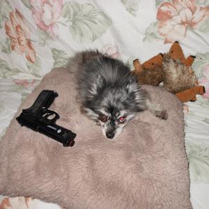 In The Range (feat. WaterSpy)