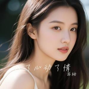 入了心动了情 (Cover 任夏)