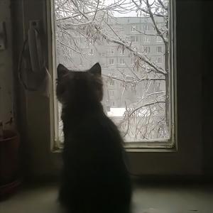 灰色轨迹尾奏（0.9x）