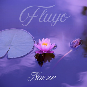 Fluyo