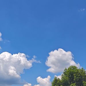 青春搭子