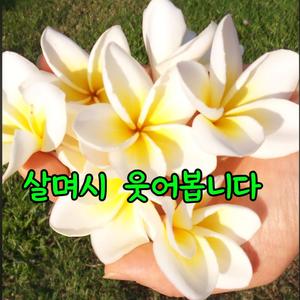 먼저 웃으세요(main)