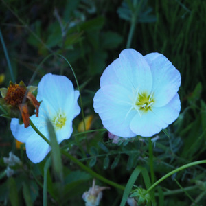 あなたのおかげで