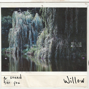 Willow