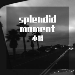 splendid moment