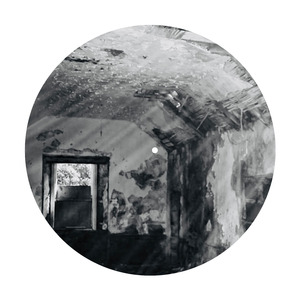 What Would Jesus Do?