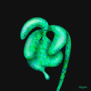 slippin