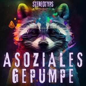 ASOZIALES GEPUMPE