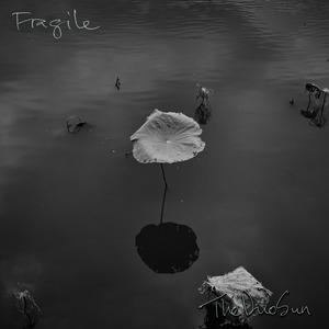 Fragile