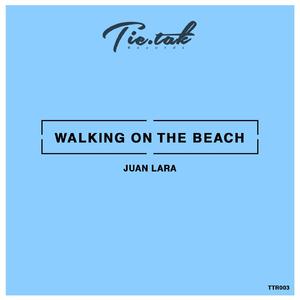 Walking on the beach (Original Mix)