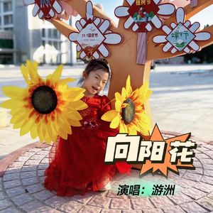 向阳花（cover：谢天笑）