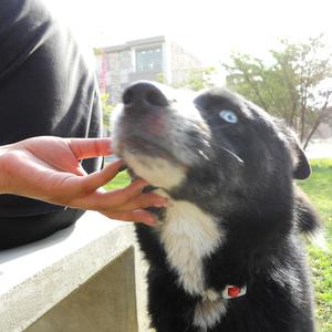 A (really) rough season