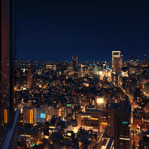 夙夜夢寐
