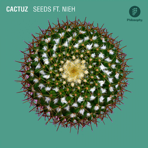 Seeds (Original Mix)