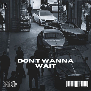 Don't Wanna Wait (Remix)