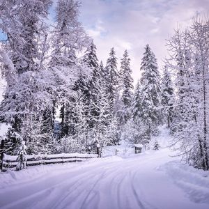 钢琴白噪音下的舒缓入眠