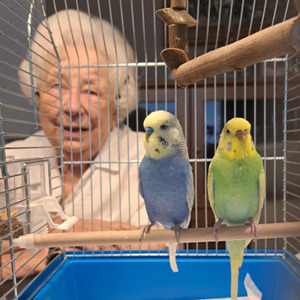 OMA