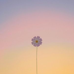 爱惨（Prod.By 牙刷）