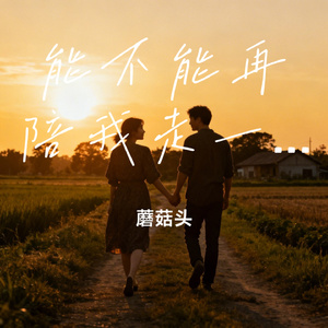 能不能再陪我走一段