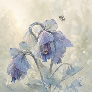 Cerinthe