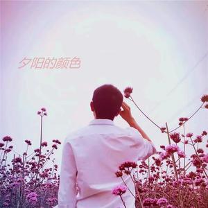 夕阳的颜色