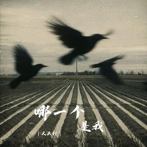 哪一个是我（破碎的完整的）