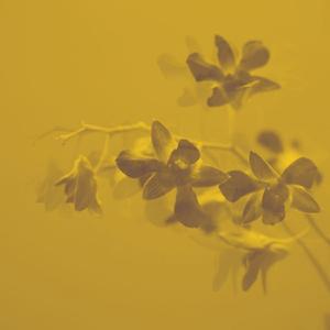 SKIN TO SKIN (Instrumental)