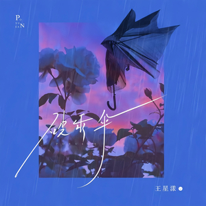 破雨伞