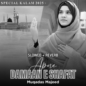 Apne Damaan E Shafat (Lofi-Mix)