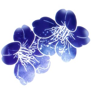 雾晨八音盒