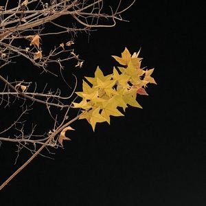 匆匆（Cover 李剑青）