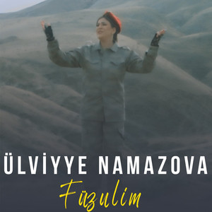 Füzulim