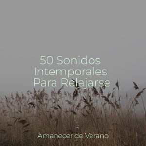 Lamento de los Ecos de la Lluvia