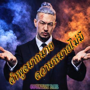 คำพูดมากมาย ความหมายไม่มี