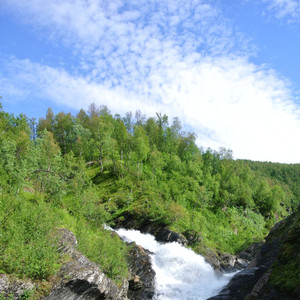 달맞이 (오르골 자장가)