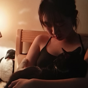 Flightless Bird，American Mouth（翻自 Iron & Wine）