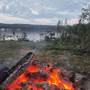 Живи свою жизнь