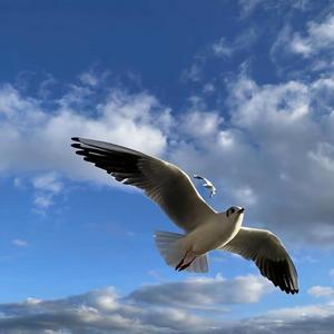 “时间扑面而来，我们终将释怀”